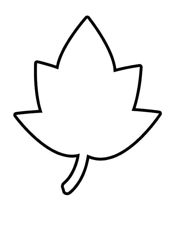 Название: Раскраска Контур листика. Категория: Контуры листьев деревьев. Теги: контур, листок, листья.