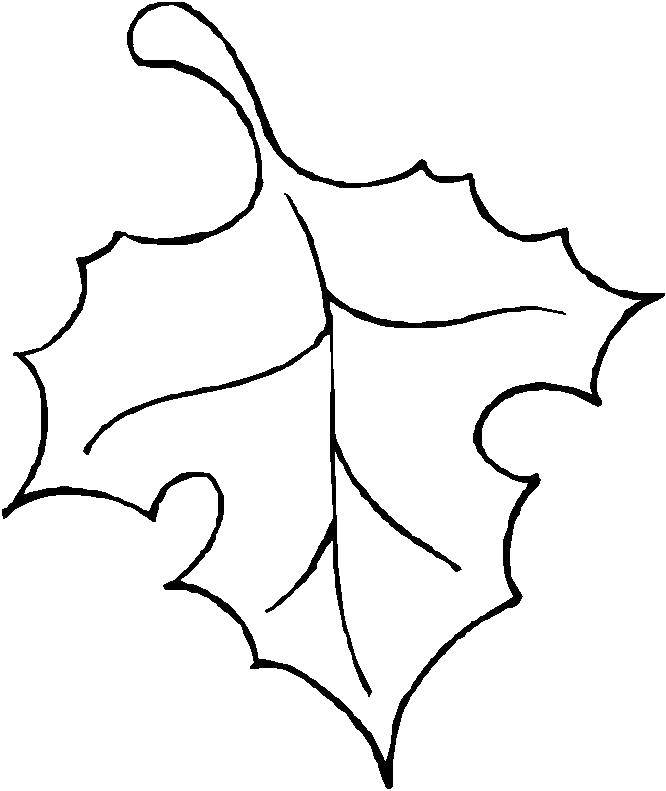 Coloring The outline of the leaf. Category The contours of the leaves of the trees. Tags:  outline , leaf, leaves.