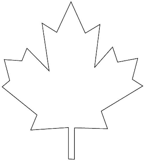 Coloring Sheet. Category The contours of the leaves of the trees. Tags:  leaves, leaves.