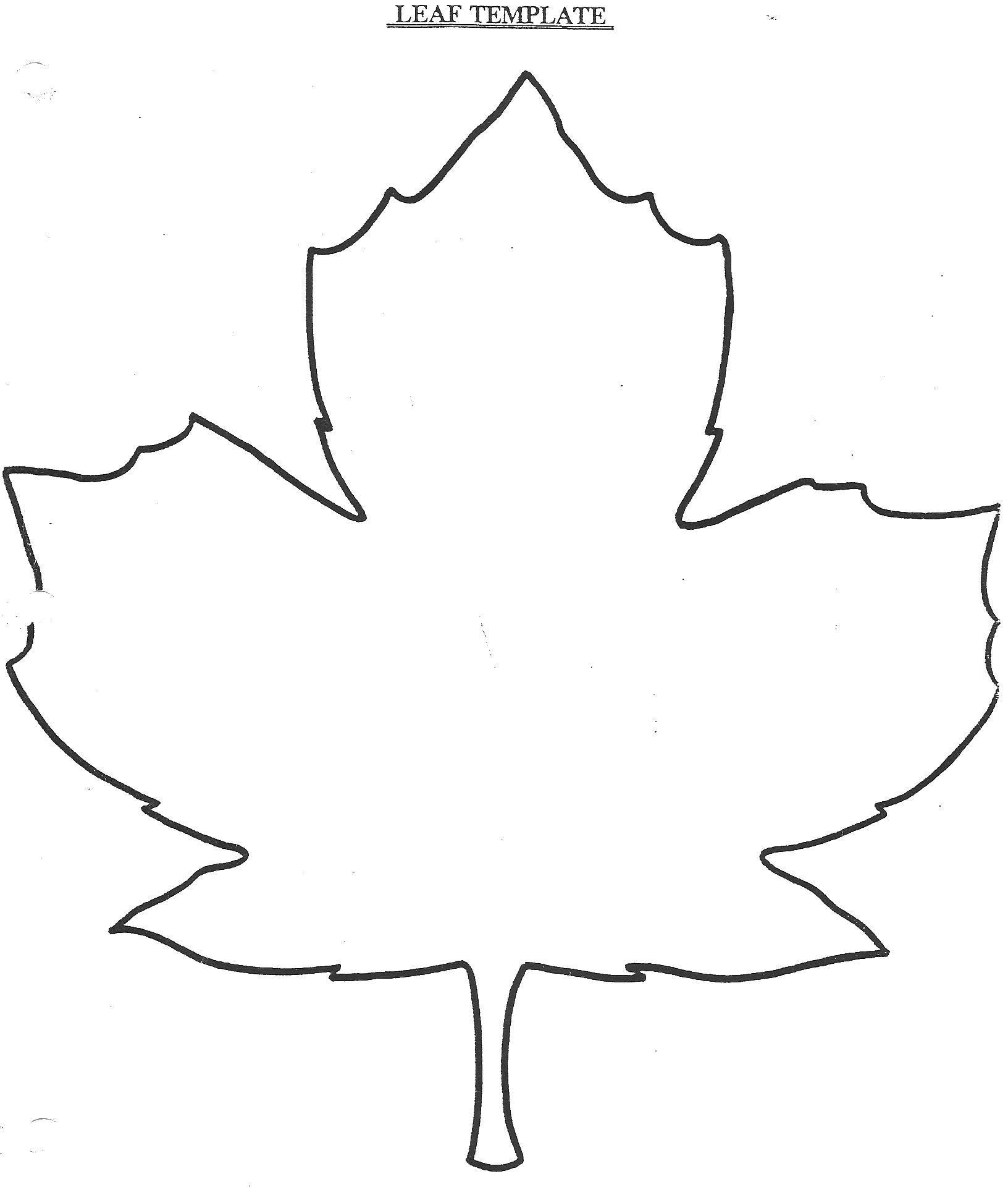 Название: Раскраска Лист. Категория: Контуры листьев деревьев. Теги: контур листа, листья.
