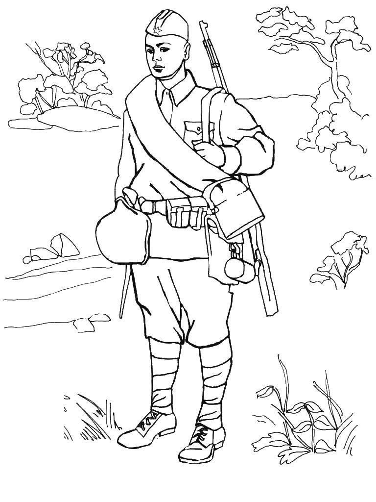 Coloring Soldier. Category military coloring pages. Tags:  soldier, war, private.