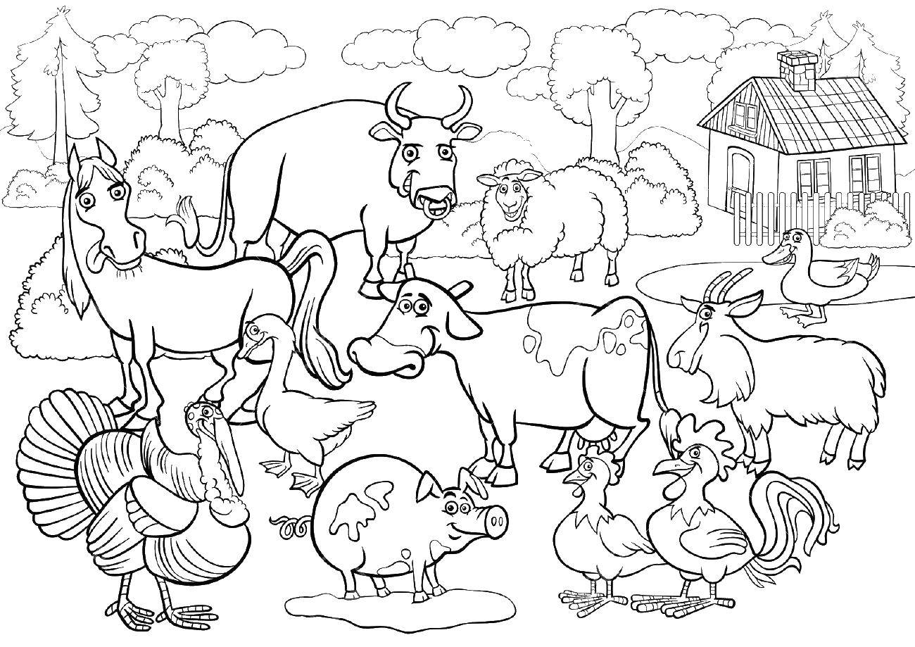 Животные на ферме раскраска для детей