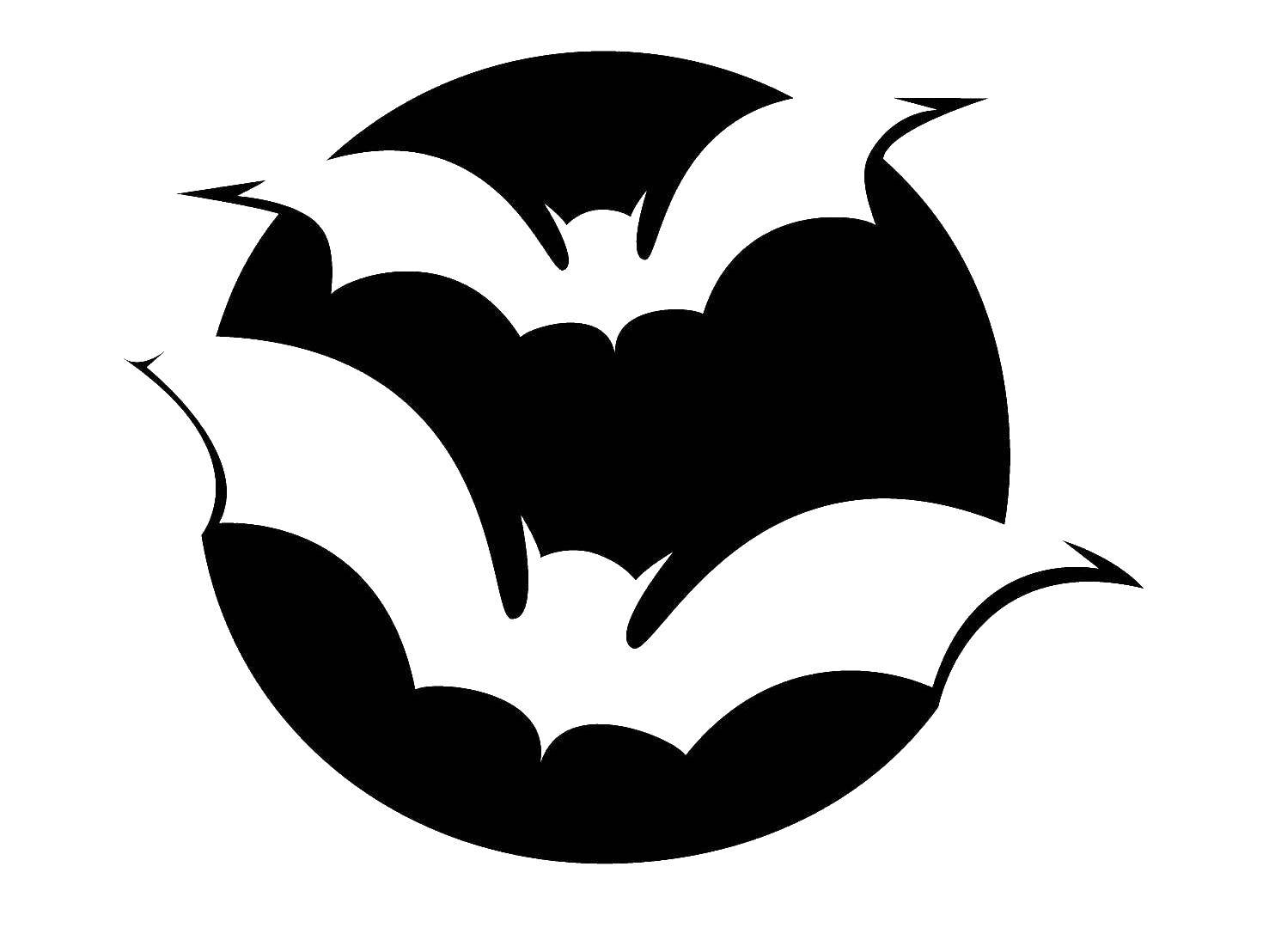 Coloring Bats fly at night. Category Animals. Tags:  bat.