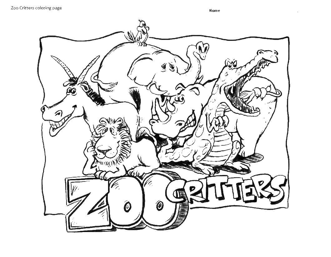 Coloring Animals zoo. Category Zoo. Tags:  zoo, animals.