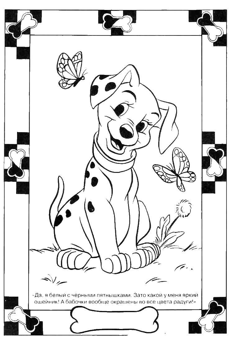 Название: Раскраска Далматинец с косточкой. Категория: 101 далматинец. Теги: далматинец, щенок.