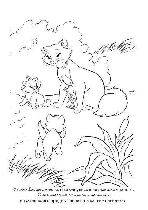 Название: Раскраска Кошки из мультфильма. Категория: Коты и котята. Теги: кошки, котята.