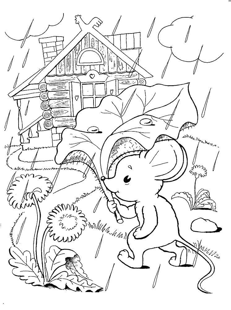 Coloring Mouse under the leaf. Category Fairy tales. Tags:  tale, mouse, leaf.