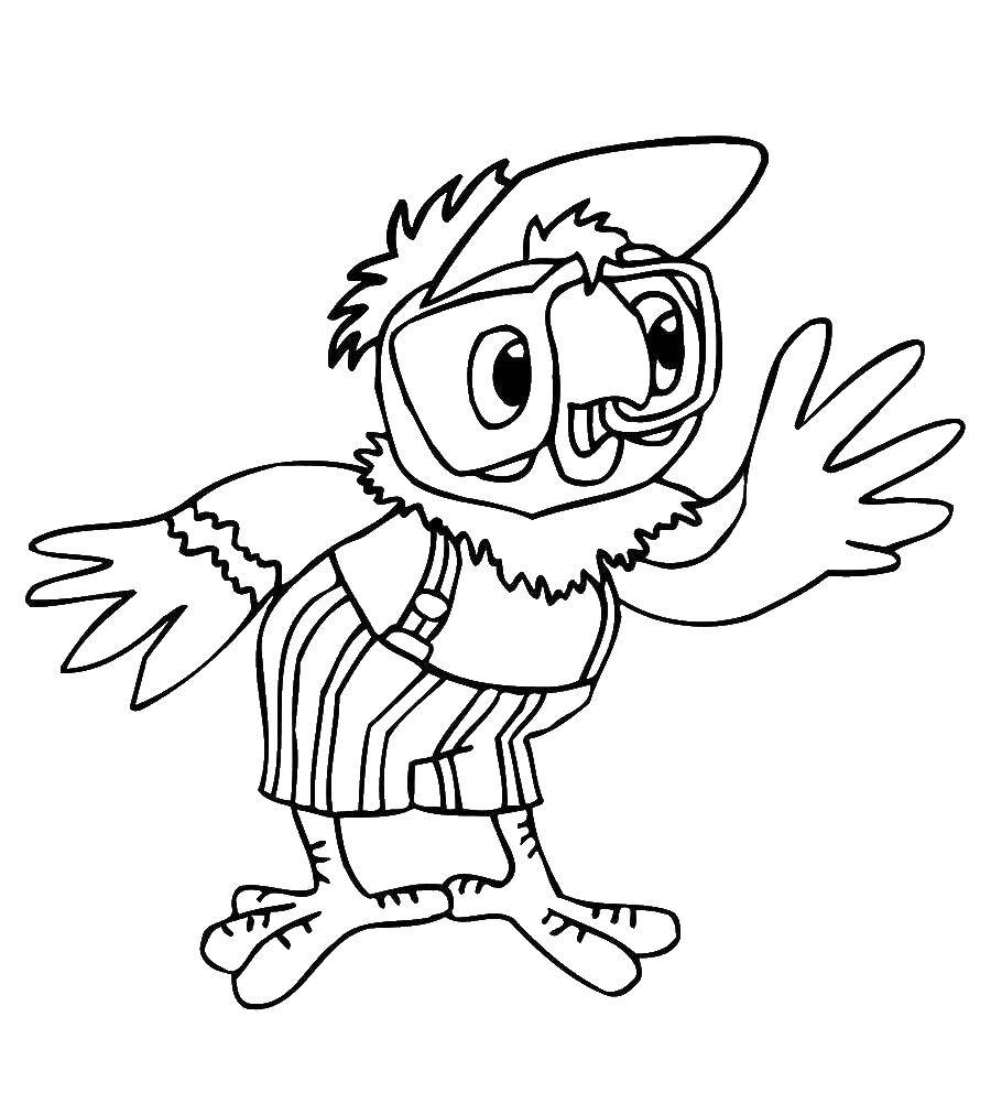 Coloring Parrot. Category coloring pages parrot Kesha. Tags:  parrot Kesha.