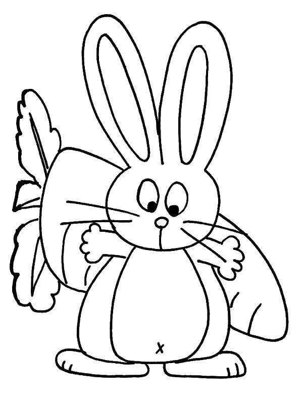 Название: Раскраска Кролик и большая морковка. Категория: кролик. Теги: заяц, морковка, цветок.