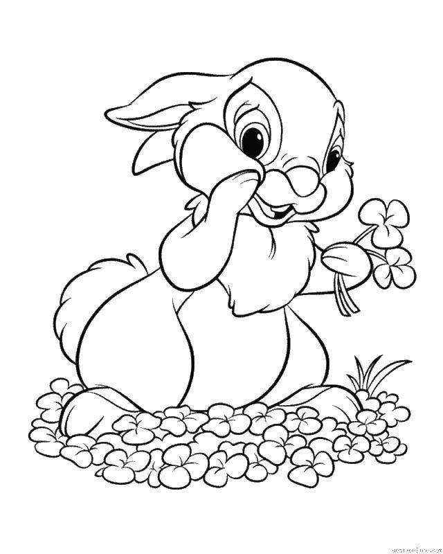 Coloring Rabbit and flowers. Category the rabbit. Tags:  Bunny, flowers, ears.