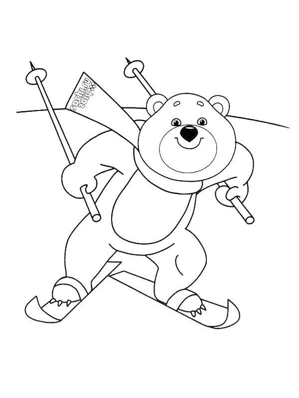 Название: Раскраска Медведь на лыжах. Категория: лыжи. Теги: лыжи, медведь.
