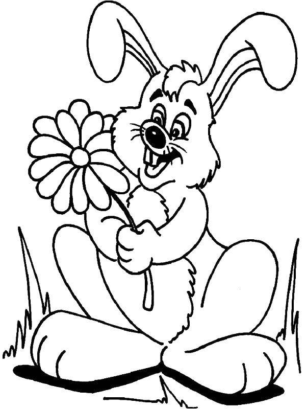 Название: Раскраска Заяц и цветок. Категория: кролик. Теги: заяц, цветок, уши.