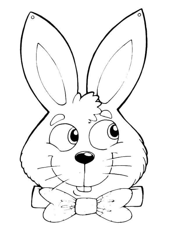Coloring Bunny in a bow tie. Category the rabbit. Tags:  butterfly, rabbit, eyes, mustache.