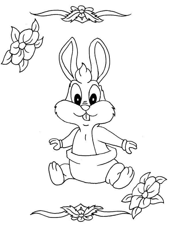 Coloring Bunny and flowers. Category the rabbit. Tags:  hare, rabbit, flowers.