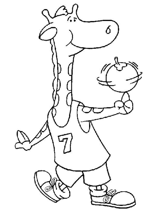 Coloring The giraffe and the ball. Category basketball. Tags:  giraffe, basketball, ball.