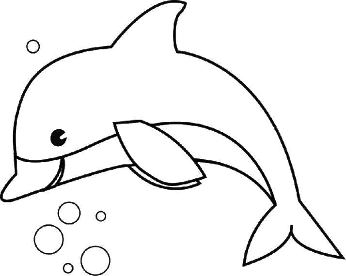 Coloring Dolphin and bubbles. Category Dolphin. Tags:  Dolphin, bubbles.