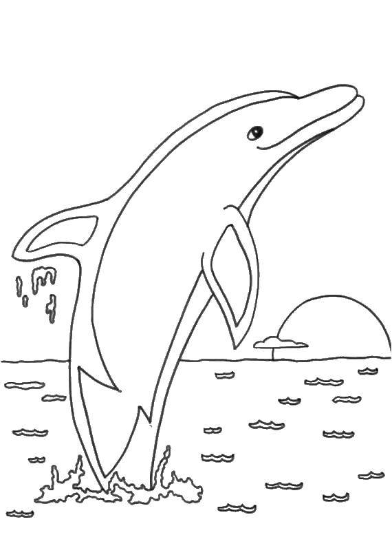 Название: Раскраска Дельфин в воде. Категория: дельфин. Теги: дельфин, солнце, вода.