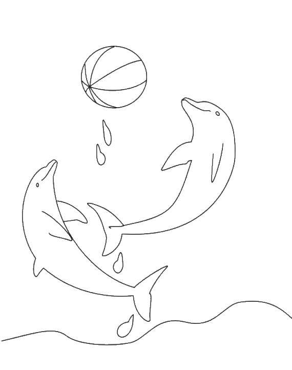 Название: Раскраска Дельфины и мяч. Категория: дельфин. Теги: дельфины, мяч, вода.