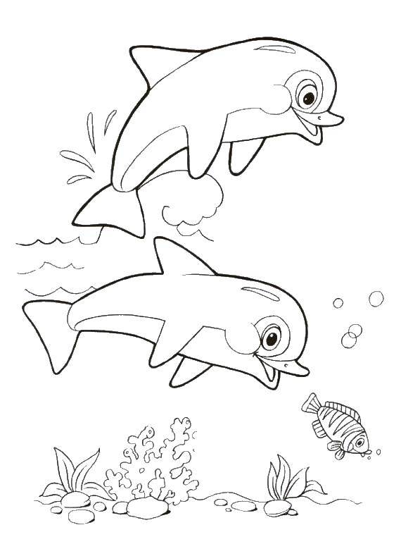 Название: Раскраска Дельфины и пузыри. Категория: дельфин. Теги: дельфин, рыбы, водоросли.