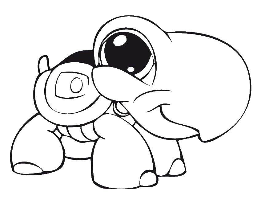Coloring The turtle with the big head. Category turtle. Tags:  Turtle.