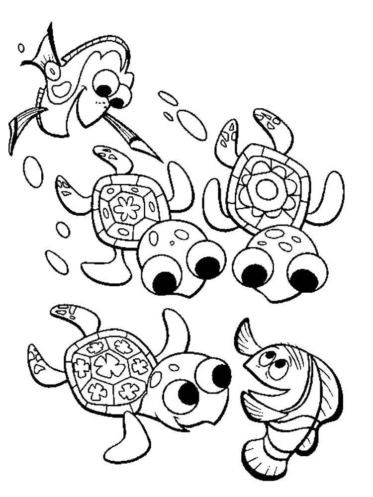 Coloring Turtles and fish. Category sea turtle. Tags:  turtle, fish, bubbles.