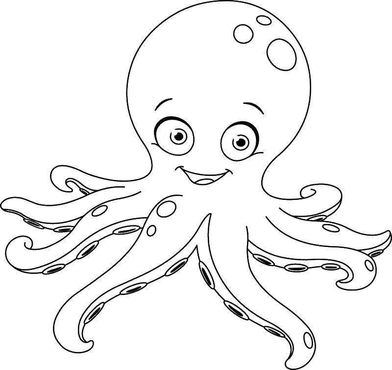 Coloring Octopus with large tentacles. Category octopus. Tags:  octopus.