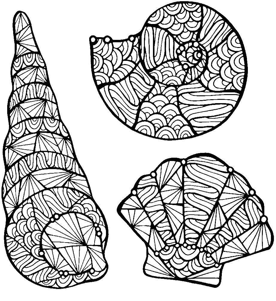 Coloring Different shells. Category shell. Tags:  shells, patterns.