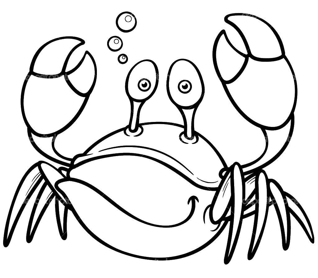 Coloring Smiling crab. Category crab. Tags:  crab, claws, bladders.