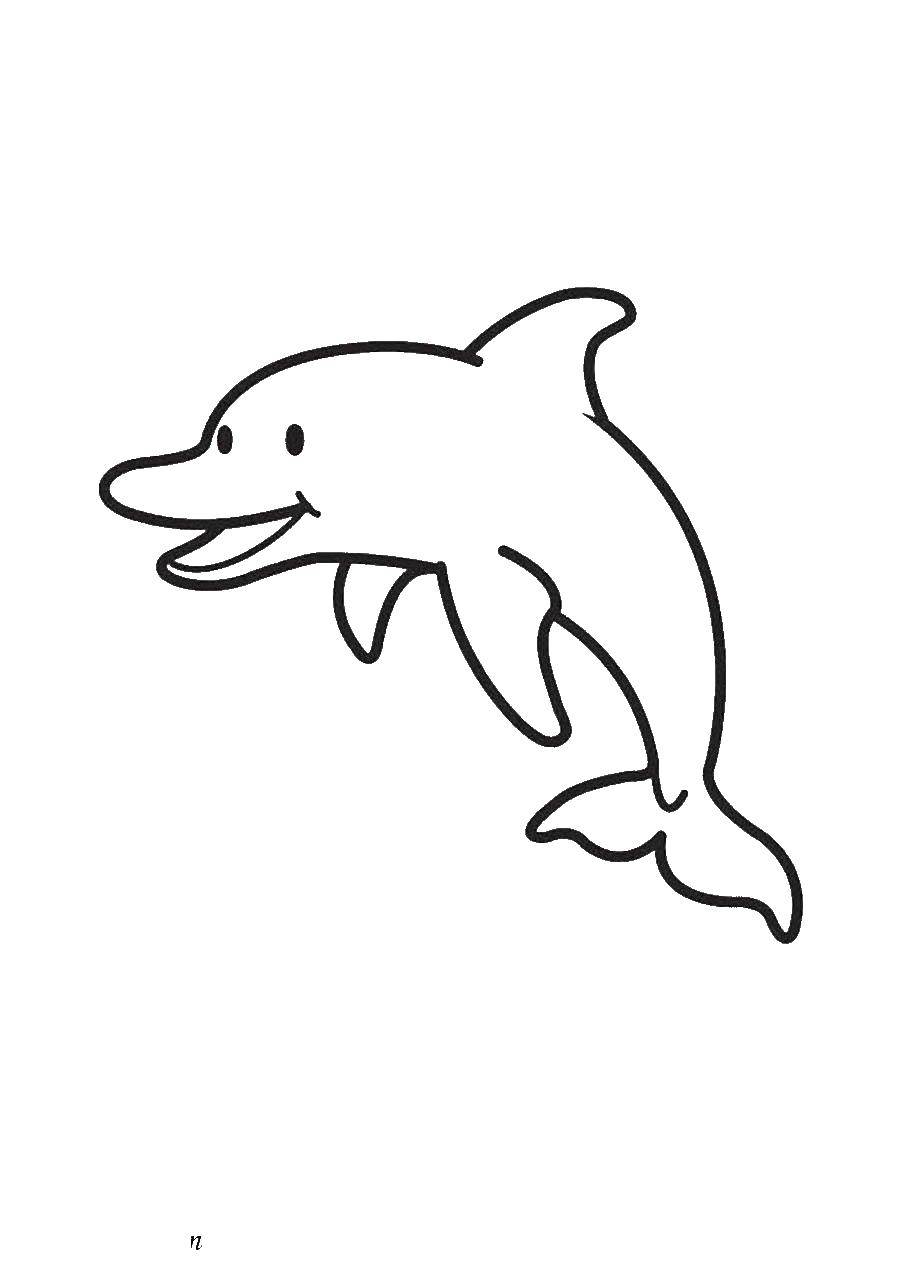 Coloring Happy Dolphin. Category Dolphin. Tags:  Dolphins, sea.