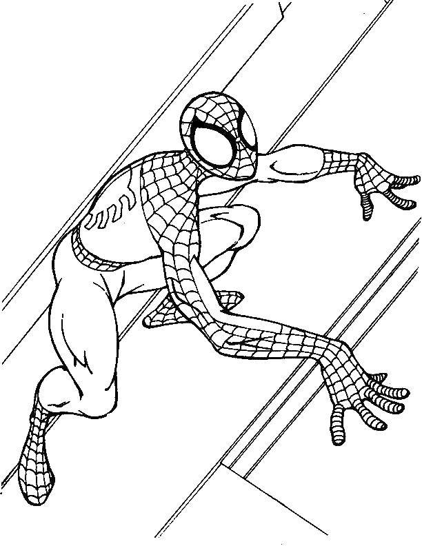 Розмальовки  Людина павук повзає на стіні. Завантажити розмальовку людина павук, супергерої.  Роздрукувати ,людина павук,