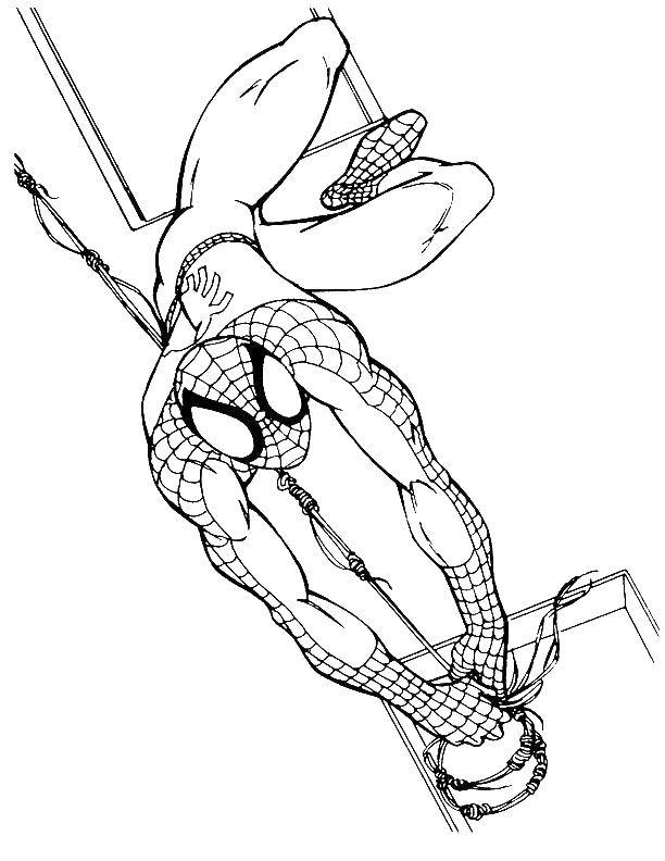 Название: Раскраска Человек паук прыгает по стенам. Категория: человек паук. Теги: человек паук, супергерои.