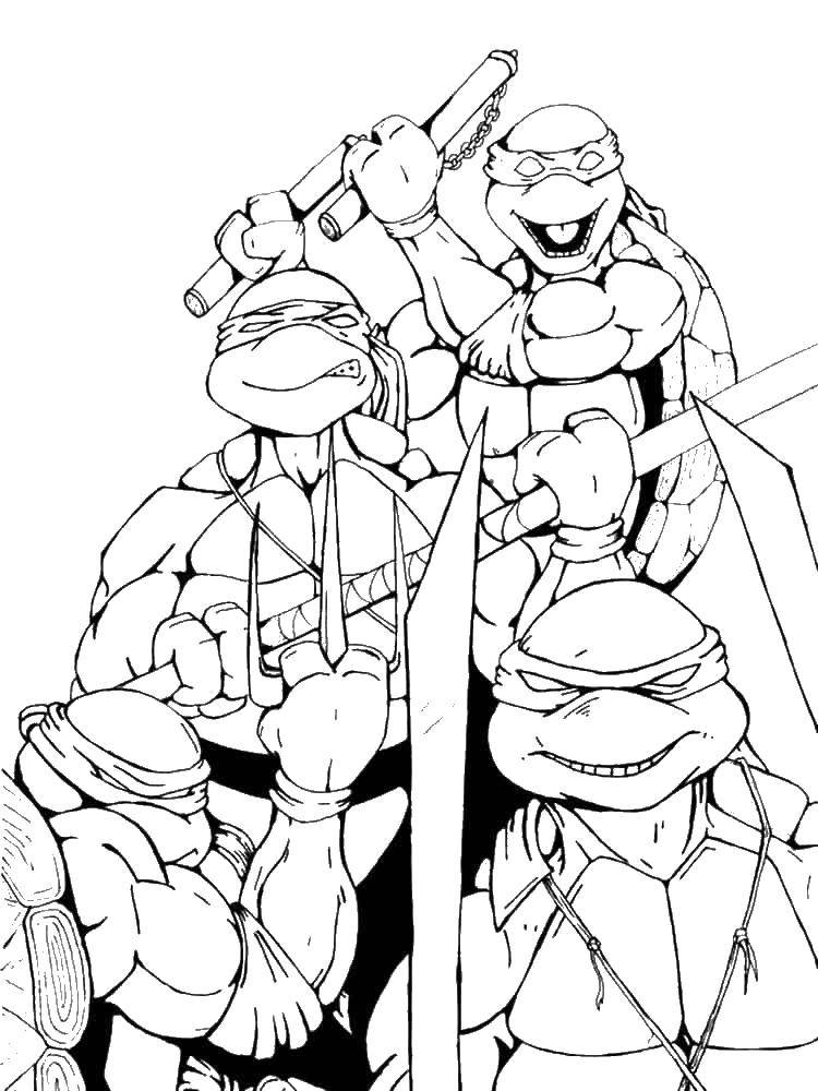Coloring Teenage mutant ninja turtles ready for battle. Category teenage mutant ninja turtles. Tags:  teenage mutant ninja turtles.
