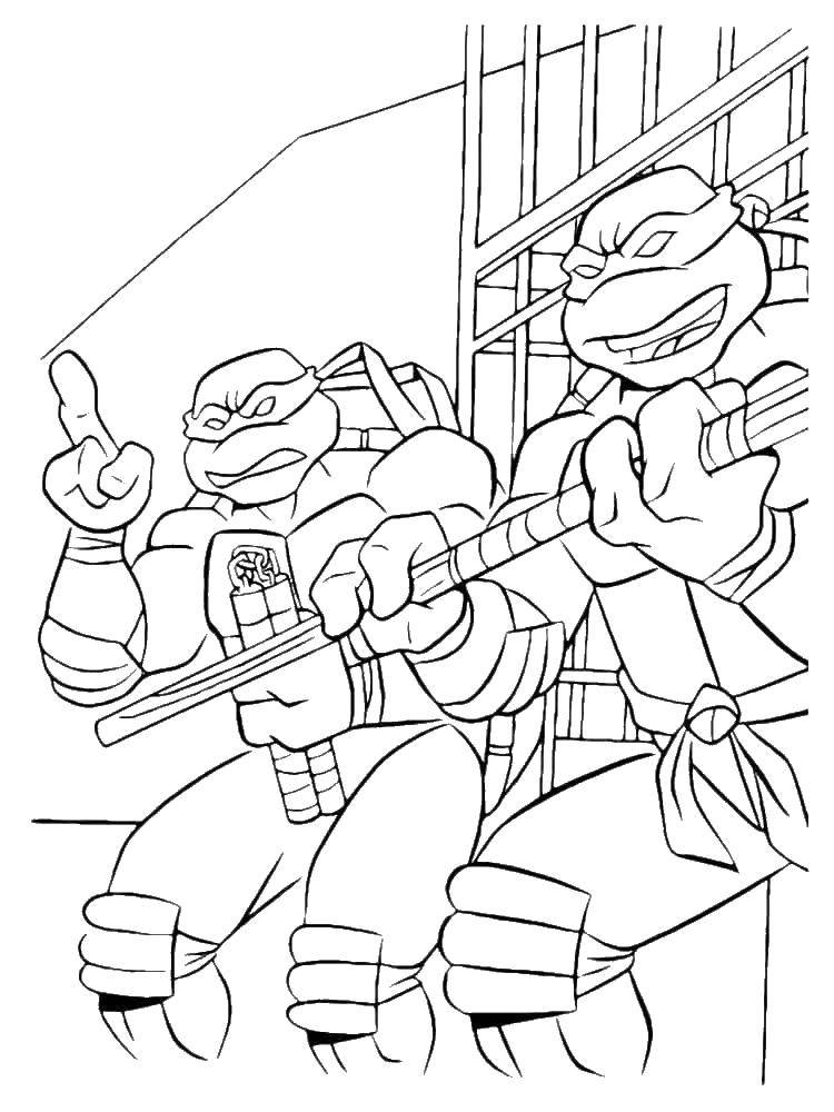Coloring Donny and Raph with guns. Category teenage mutant ninja turtles. Tags:  teenage mutant ninja turtles.