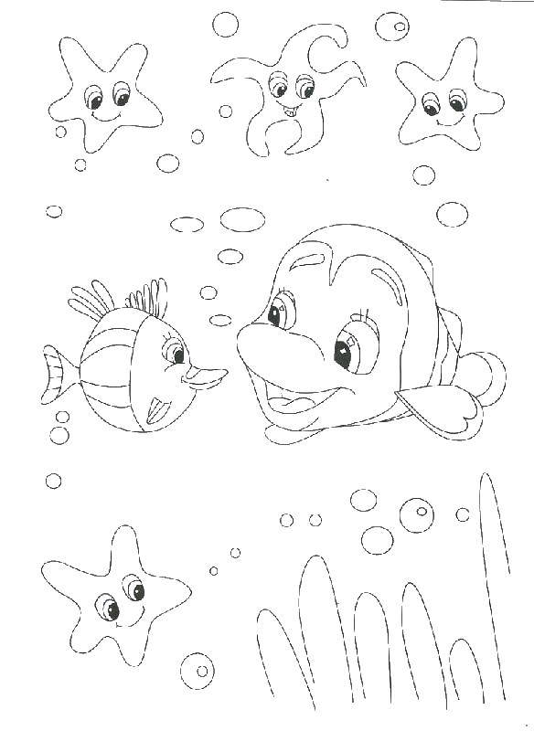 Название: Раскраска Рыбка клоун и морские звезды. Категория: рыбы. Теги: рыбы, океан.