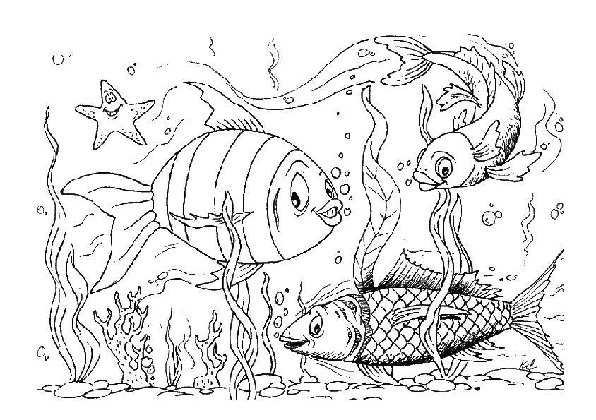 Название: Раскраска Рыбки в водоеме. Категория: рыбы. Теги: рыбки, водоем.