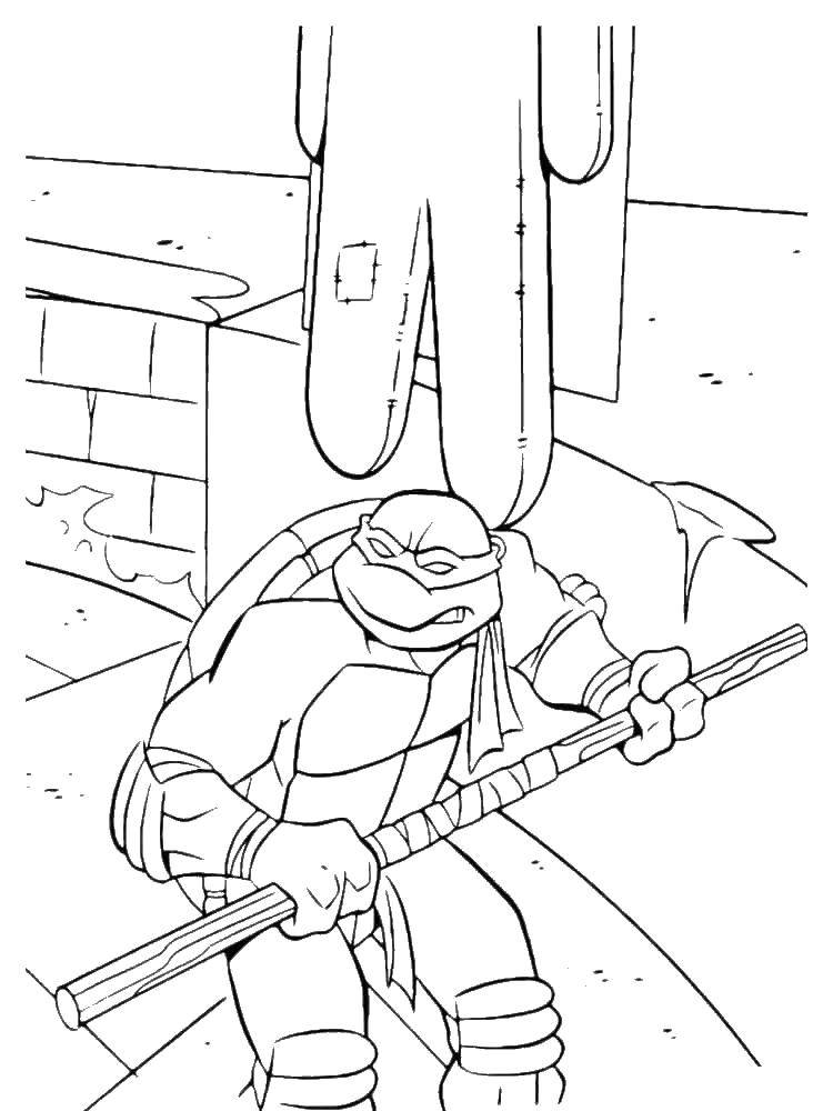 Coloring Donatello wears a purple headband. Category teenage mutant ninja turtles. Tags:  Donatello, teenage mutant ninja turtles.