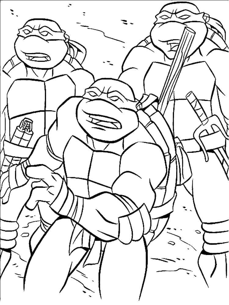 Coloring Ninja turtles. Category teenage mutant ninja turtles. Tags:  teenage mutant ninja turtles.