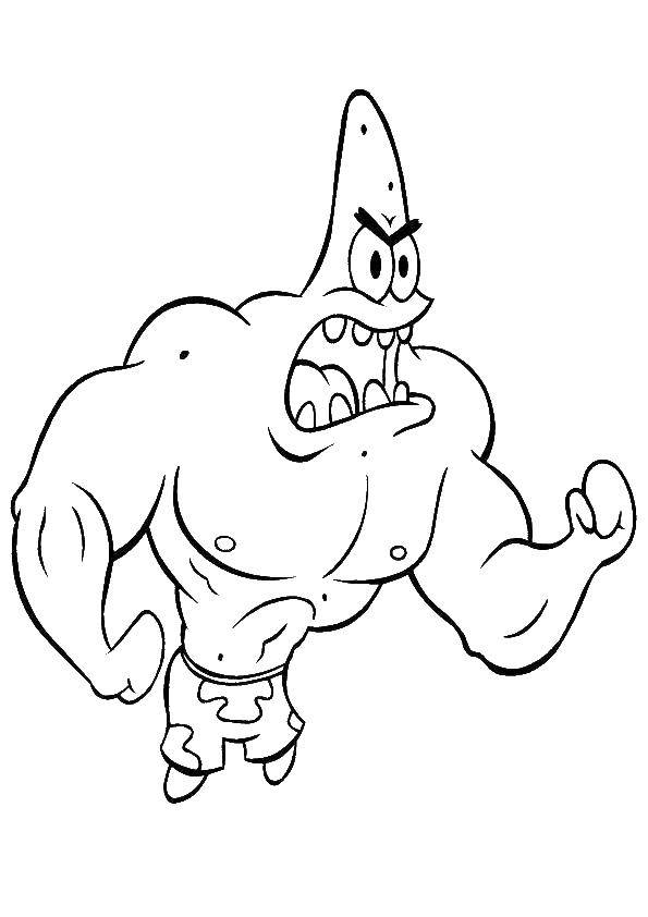 Coloring Patrick strong. Category spongebob. Tags:  Patrick, strongman.