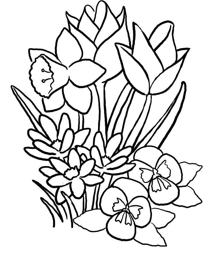 Coloring Beautiful various flowers. Category flowers. Tags:  flowers, leaves, plants, nature.