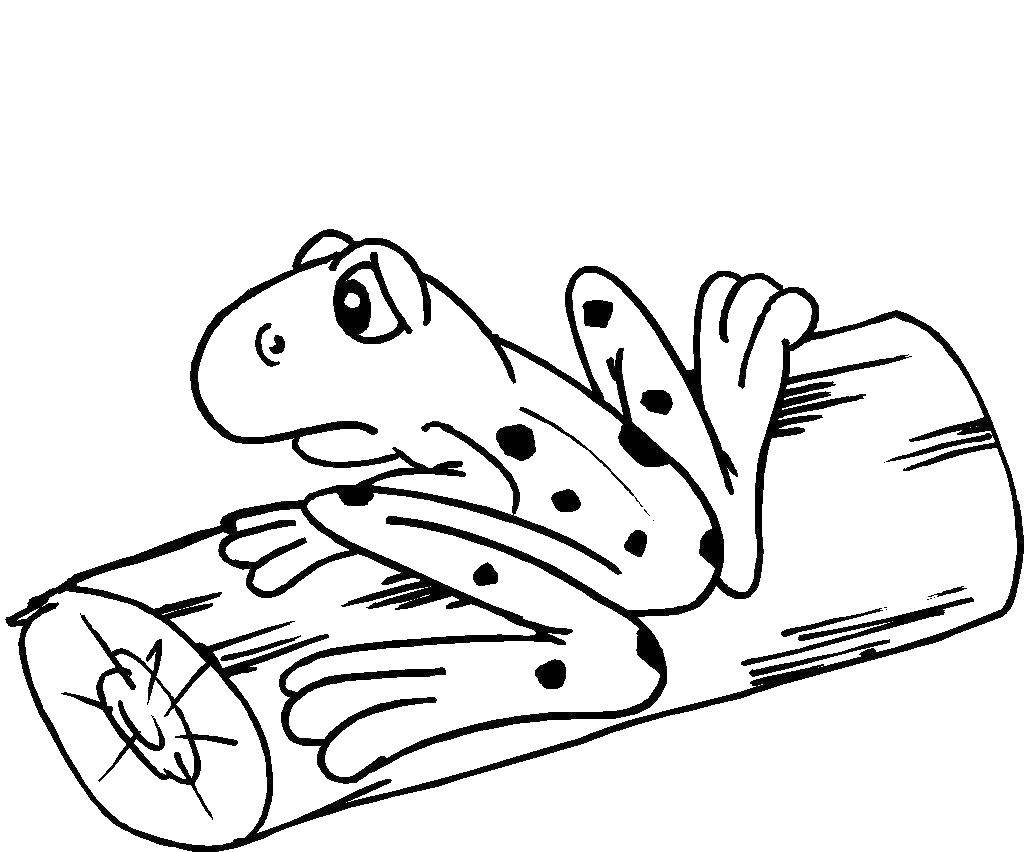 Coloring Frog on a log sitting. Category the frog. Tags:  frog, log.