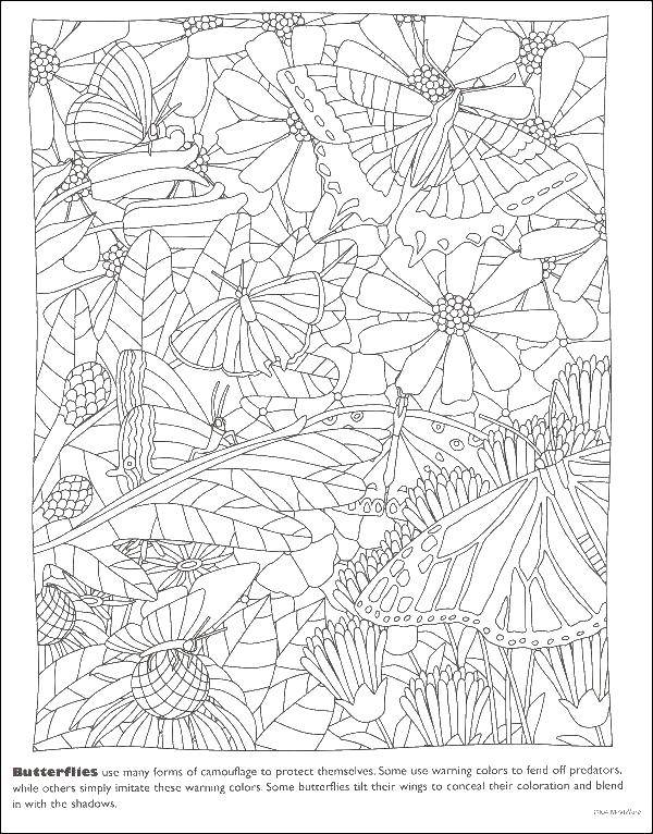 Coloring Butterfly among the flowers. Category for stained glass. Tags:  butterflies, flowers.