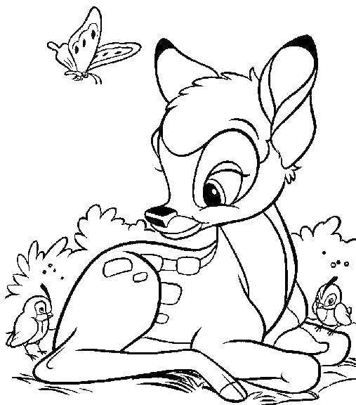 Coloring Bambi, butterfly and birds. Category Disney coloring pages. Tags:  Bambi, birds, butterfly.
