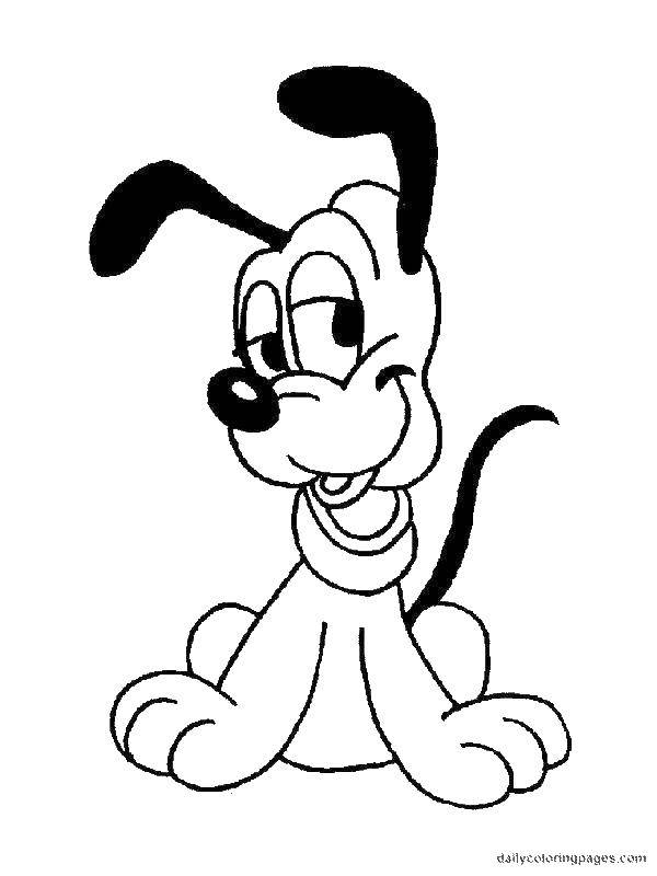 Coloring A dog with a collar. Category Disney coloring pages. Tags:  the dog, ears, collar.