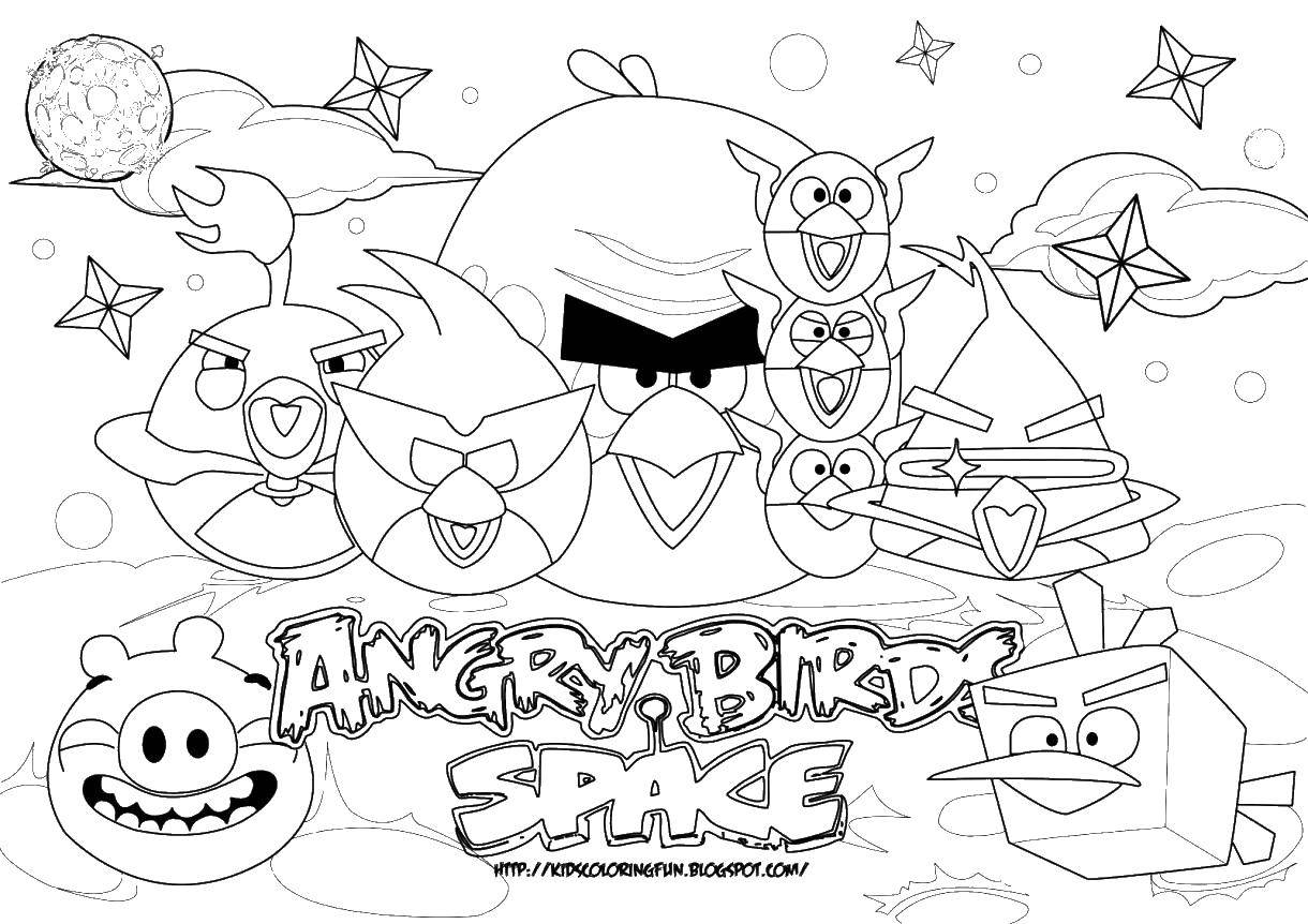Coloring Angry birds game. Category angry birds. Tags:  angry birds, pig, bird.