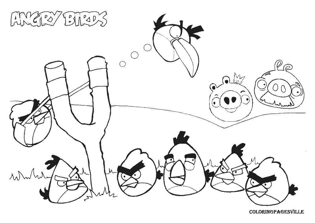 Coloring Angry birds. Category angry birds. Tags:  angry birds, games.
