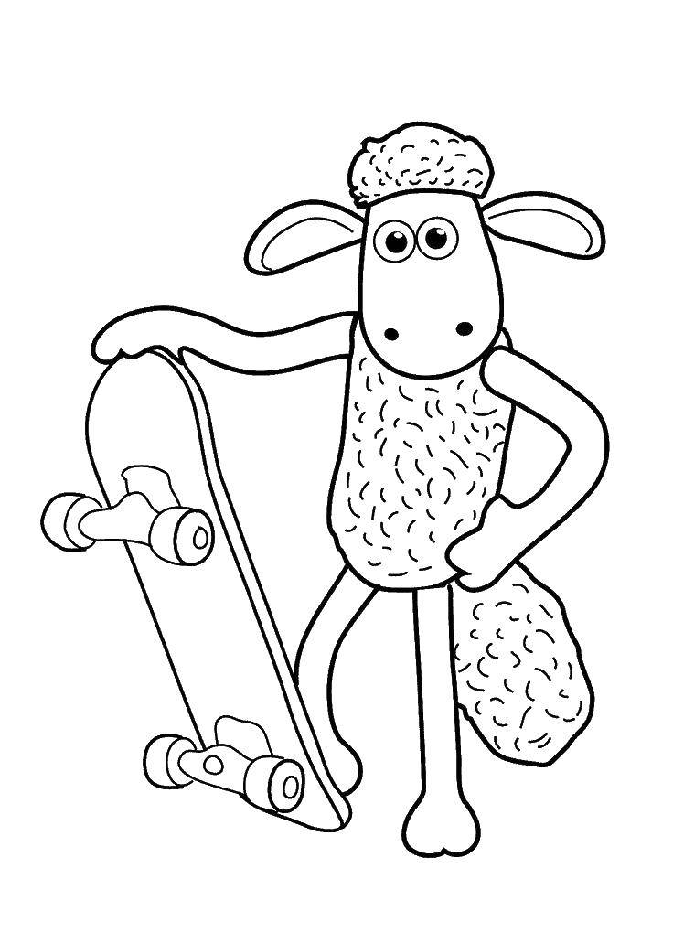 Coloring Lamb and skate. Category cartoons. Tags:  lamb, skate.