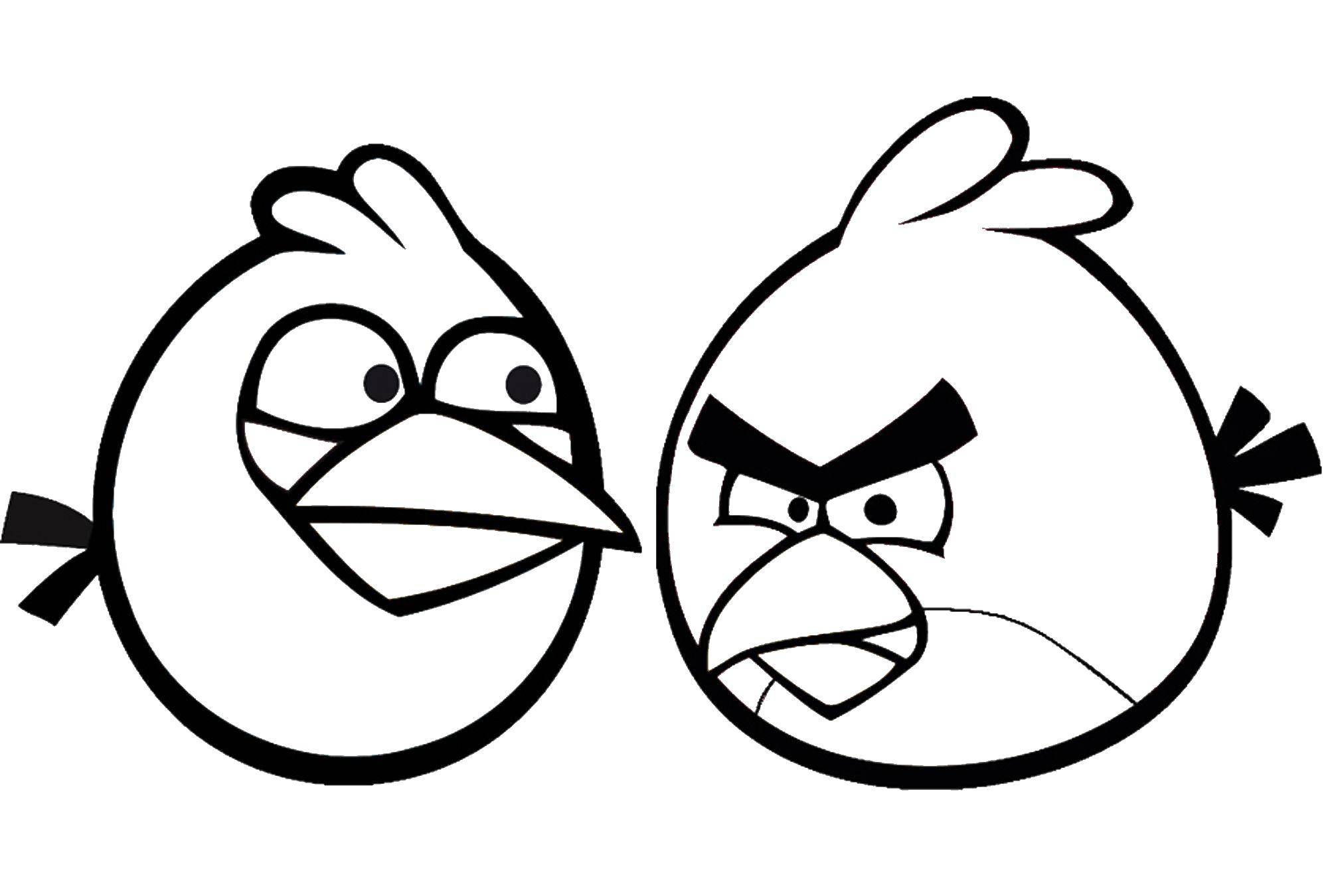 Название: Раскраска Две птицы. Категория: angry birds. Теги: angry birds, птица.