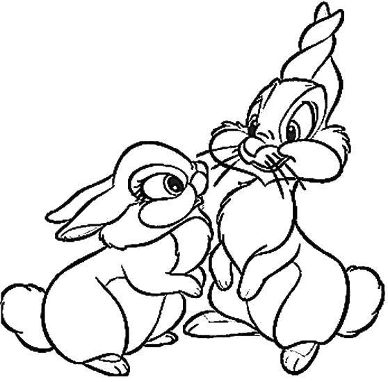 Coloring Two bunnies. Category cartoons. Tags:  hare, ears, eyes.
