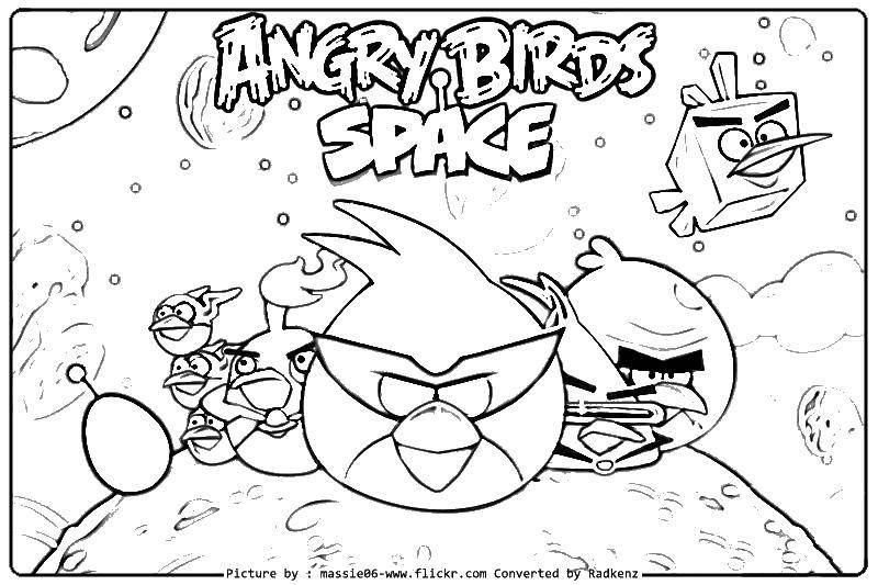 Название: Раскраска Игра angry birds. Категория: angry birds. Теги: игры, angry birds.