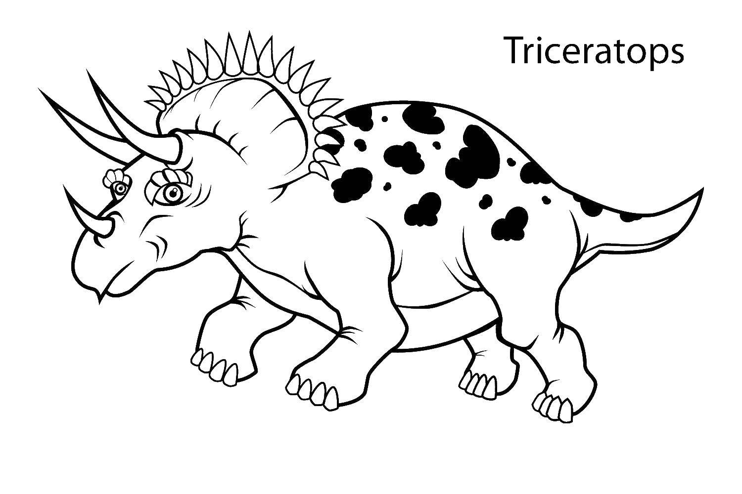 Розмальовки  Трицератопс був найбільшим представником загону цератопсов. Завантажити розмальовку Трицератопс, динозавр.  Роздрукувати ,динозавр,